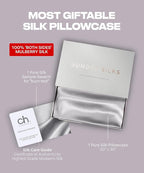 SUNDAYSILKS™ Premium Silk Pillow Cases | 100% Mulberry Silk Pillowcase with Zipper, All Sides Real 22 Momme Grade 6A Silk, Standard Queen, King Size [Silver Quartz]