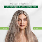 Herbishh Linen 3 In 1 Hair Dye Shampoo 16.9 Fl Oz & Argan Oil Mask 28.2 Fl Oz Combo - Champu Para Canas Mujer - Hair Dye Shampoo for Men & Women - Hair Mask For Moisturizer Dry, Damaged Hair