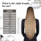Moresoo Human Hair Clip in Extensions Ombre Cool Brown to Medium Blonde with Light Brown Clip in Hair Extensions Short Real Human Hair Clip ins Double Weft 80g/5pcs 14 inch
