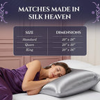 DECOLURE 100% Pure Mulberry Silk Pillow Case Queen Size – Highest Grade 30 Momme 6A+, Luxuriously Soft & Cooling Silk Pillowcase for Hair & Skin, Hypoallergenic, Breathable, Hidden Zipper (Silver)