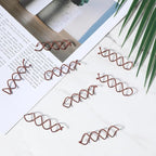 30 Pcs Spiral Hair Pins, Spin Pins for Hair, Alloy Spiral Bobby Pins, Bun Twist Spiral Hair Pins with Non-scratch Rounded Tips for Women Bun Hair Style (Brown)