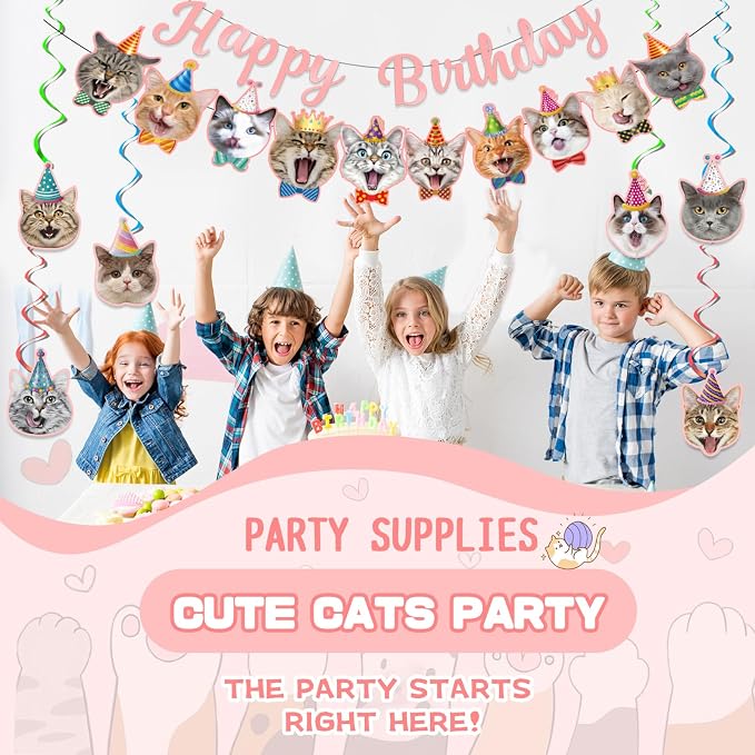 Cat Themed Birthday Party Decorations, Cat Birthday Decorations - Image 6