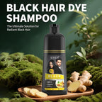 Gowwim Black Hair Dye Shampoo, Ginger Black Hair Color Shampoo Semi Permanent Hair Color Shampoo for Women and Men for Gray Hair Coverage 500ml Natural herbal Ingredients