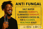 Lion Locs Starter Twist and Lock Spray for New Dreadlocks | Texturizes & Great for Styling - Vegan Sea Salt Mist with Essential Oils & Aloe (4oz)