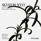 Nécessaire Rosemary Shampoo With Pump | Multi-Protein Strengthening Conditioner For Thinning Hair. For Women + Men. Good For All Hair Types/Textures. Color-Safe. 500 ml / 16.9 oz