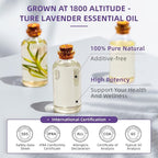 HIQILI 16 Ounces Lavender Essential Oil Pure, 100% Natural for Aromatherapy Diffuser, Skin Care, Hair, Includes Premium Glass Dropper-16 Fl Oz