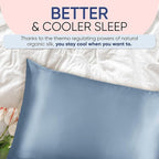 Blissy Silk Pillowcase - 100% Pure Mulberry Silk - 22 Momme 6A High-Grade Fibers - Silk Pillow Cover for Hair & Skin - Regular, Queen & King (Ash Blue, King)