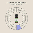 VINEVIDA Spearmint Essential Oil 10 mL - Undiluted Candle Scent DIY Scents for Candlemaking Soap Making Safe Skin,4OZV-OBP-SPR-60P-10ML