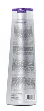 Silver Ash Blonde Hair Blue Toning Mask | Eliminates Brassiness | Neutralizes Yellow & Orange Tones | With Argan Oil Perfect Blonde (SILVER ASH BLONDE) 11.8 Fluid Ounce (350 ml)