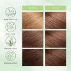 Hair Dye Shampoo 3-in-1, Instant Natural Hair Color Shampoo for Women Men Champu Para Canas Mujer Coffee, Lasting 3-4 Weeks & Easy to Use & All Hair Types & Root Touch Up, 500ml