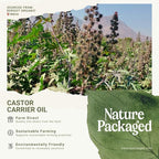 Organic Castor Oil Direct From India - Cold Pressed Castor Oil For Face, Hair Growth, Eyelash Serum, Eyebrow - Skin and Face Moisturizer and Detox - Hexane Free 4 Gallon