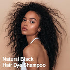 Black Argan Oil Hair Dye - 16.9 Fl Oz, 3 in 1 Semi-Permanent Color Shampoo, Easy To Use (Black)