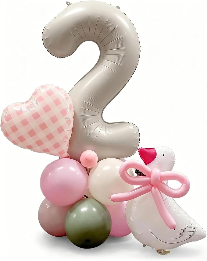 One Silly Goose 2nd Birthday Decorations by 100LIKED