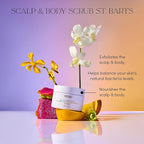 OUAI Scalp & Body Scrub, St. Barts Travel Size - Exfoliating Body Scrub with Sugar & Coconut Oil Blend for Smooth, Moisturized Skin - Gentle Scalp Exfoliator for Removing Product Build Up (3.4 oz)