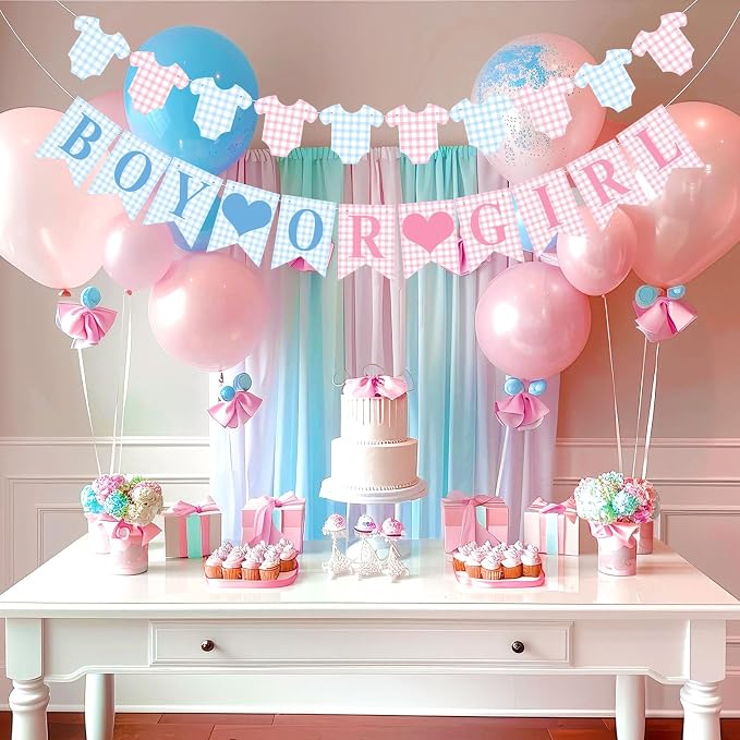 Hahafelt 1 Pcs Blue Pink Gingham Boy or Girl Clothesline Bodysuit Banner - Image 5