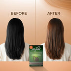 Reshma Beauty 30 Minute Henna Hair Color Infused with Organic Henna Lawsonia Inermis 100% Gray Coverage for Soft, Shiny Hair, Plant-Based Hair Dye—1.05 oz, Pack of 1 (Light Brown)