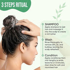 DEL SUR Clarifying Shampoo & Conditioner Set for Oily Scalp | 16 fl oz | with Camellia Japonica, Salicylic Acid, Papaya & Biotin | Oil Control for Oily Roots & Greasy Hair