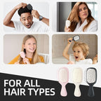 Mini Hair Bursh for Women Men and Kids, Protable Travel Size Hair Brush for Pockets Purses, Mini Detangler Brush for All Hair Types, Small Paddle Brush for Detangling (Black)