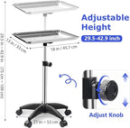 Rolling Salon Tray, Adjustable Salon Tray on Wheels, Premium Aluminum Tattoo Tray Cart for Spa Clinic, Silver
