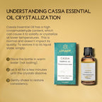 Cassia Cinnamon Bark Essential Oil for Room Spray, Diffuser, DIY Home Crafts - 1 Oz
