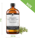 VINEVIDA Organic Tea Tree Essential Oil 16 oz - Undiluted, Pure, Vegan, and Sustainable