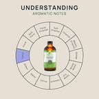 VINEVIDA Ravensara Essential Oil 4 oz - Undiluted, Pure, Vegan, and Sustainable