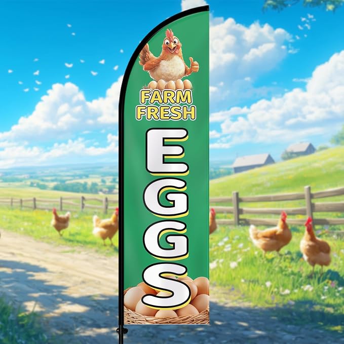 Farm Fresh Eggs Feather Flag - Image 4