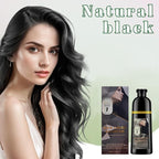Hair Dye Shampoo, 3 in 1 Gray Hair Coverage, One-Step Wash-In Hair Dye, Shampoos for Color Treated Hair, Semi Permanent Hair Color Shampoo for Women & Men, 13.6 fl. oz, (Black)
