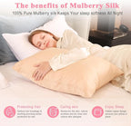 100% Pure Silk Pillowcase 2 Pack for Hair and Skin, Both Sides 23 Momme Grade 6A+ Mulberry Silk Pillowcases with Hidden Zipper, Soft&Smooth Cooling Pillow Cases (Champagne, Standard 20x26)