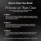 Silver Brush Limited WC-3124ST Black Velvet Voyage Master Travel Set for Watercolor, Gouache, Inks, & Dyes, Set of 4, Sizes 2, 4, 6, and 8 Round Paintbrushes, Short Handle
