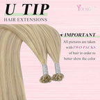 YoungSee U Tip Hair Extensions Highlight Ash Blonde with Bleach Blond U Tip Hair Extensions Human Hair Highlight Utip Hair Extension Blonde Hot Fusion Hair Highlight 16In 1G/S 50G for Wedding