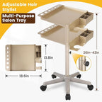 Hair Salon Carts, Champagne Gold Salon Tray for Hair Stylist, Multi-Function Salon Tray, Salon Station(with Wheels), Large Size and Robust,Corrosion-Resistant Adjustable Color Tray.