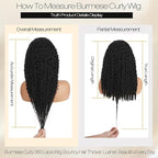 Burmese Curly Human Hair Wig with Spiral End 200% Density 360 Full HD Lace Front Wigs Human Hair Water Wave Wigs for Women 16Inch Pre Plucked with Baby Hair Tiny Knots Natural Black