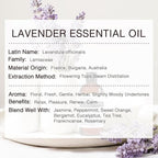 Lavender Essential Oil, Pure & Natural Lavender Oil 100ML, Premium Grade Essential Oils for Hair, Body, Skin, Aromatherapy Diffuser, Meditation, Massage, Home, Candle, Soap, Bath Bombs Making