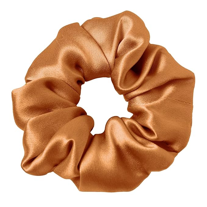 LILYSILK Silk Hair Scrunchies/Ties for Frizz & Breakage Prevention, 100% Mulberry, No Damage, Elastic ponytail Holders, 5PC, Fixed Colors (Black+Light Coffee+Bright Coffee+Caramel+Chocolate)