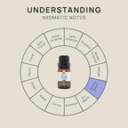 VINEVIDA Palo Santo Essential Oil - Undiluted, 10 mL - DIY Candle Scents, Safe for Skin
