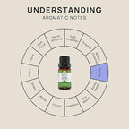 VINEVIDA Vetiver Essential Oil 10 mL - Undiluted Candle Scent DIY Scents for Candlemaking Soap Making Safe Skin, Pack of 1,0.33 Fl Oz,10 milliliters, (4OZV-OBP-VET-IND-10ML)