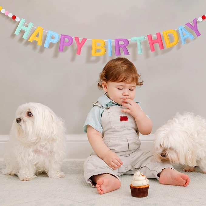 Felt Happy Birthday Garland Rainbow Banner Reusable Happy Birthday Sign Party - Image 7