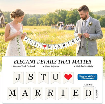 Vintage Just Married Banner - Image 3