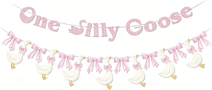 One Silly Goose Banner, 1st Birthday Party Decoration, Goose Garland by Unknown