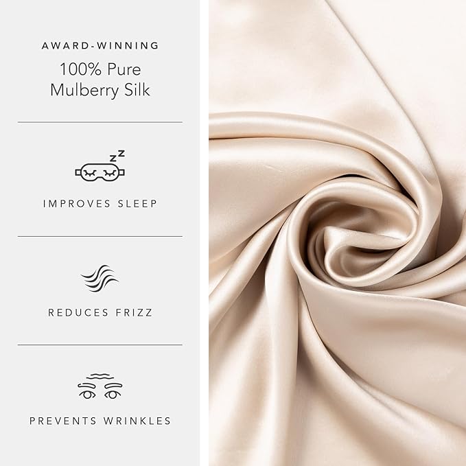 Fishers Finery 19mm 100% Pure Mulberry Silk Pillowcase, Quality Tested (Taupe, S)