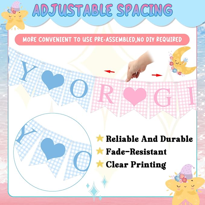 Hahafelt 1 Pcs Blue Pink Gingham Boy or Girl Banner - Image 3