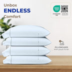 THREAD SPREAD 100% Egyptian Cotton Pillow Cases - High Thread Count Pillowcases Queen/Standard Size Pack of 2, Soft & Breathable Extra Long Staple Sateen Cotton Pillow Covers for Bed - Light Blue