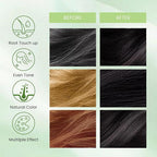 Black Hair Dye Shampoo 3 in 1, Natural Instant Hair Color Shampoo for Women Men 100% Gray Hair Coverage Champu Para Canas Mujer, Lasting 3-4 Weeks & Easy to Use & All Hair Types & Root Touch Up, 500ml