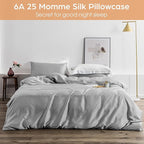 Silk Pillowcase for Hair and Skin, 2 Pack 100% Mulberry Silk Pillowcase 25 Momme, 600 Thread Count, Both Side Pure Silk Pillow Cover with Hidden Zipper (Gray, Queen 20''×30'')