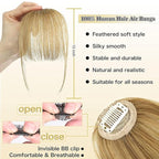 NAYOO Wispy Bangs Hair Clip - Ash Blonde 100% Real Human Hair Clip in Bangs for Women Fringe with Temples Hairpieces for Daily Wear (Ash Blonde, Wispy Bangs)