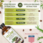 VITAL AFFAIR Organic Castor Oil With Rosemary Oil For Hair Growth - 100% Pure Rosemary Hair Oil With Pure Castor Oil Cold Pressed Unrefined Glass Bottle - Strengthening & Volumizing 8 Fl Oz