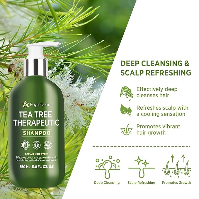 Roycederm Tea Tree Antifungal Shampoo: Folliculitis Shampoo for Dry Scalp, Dandruff, and Itchy Scalp - Medicated Clarifying shampoo with Tea Tree Oil, Paraben & Sulfate Free - 2 Pack