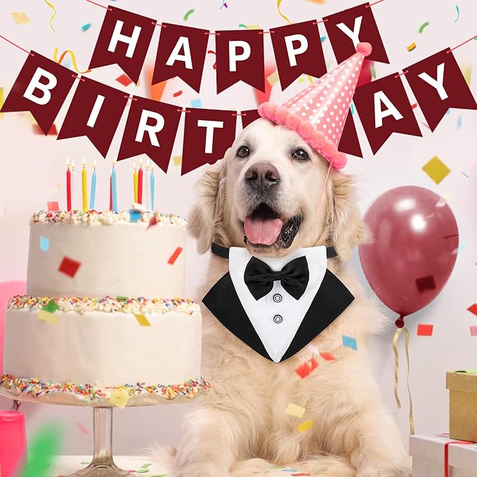 Hooqict Burgundy Happy Birthday Banner Sign - Image 6