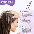 DEL SUR Hair Repair Shampoo and Conditioner Set | 16 fl oz Each | with Camellia Japonica, Amino Acids, Biotin & Argan Oil | Moisturizing Strength & Damage Repair for Dry, Damaged Hair